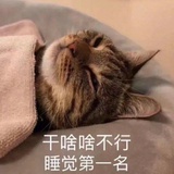 没想好名字