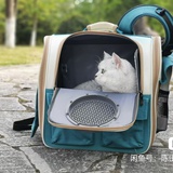 杭州上门喂养