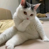 小申要努力
