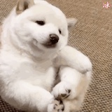 谁懂我②