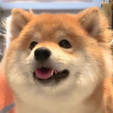 物理学家