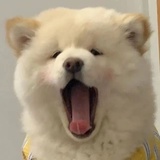 随便吧啦啦啦