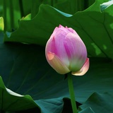 踩剧的都不要回