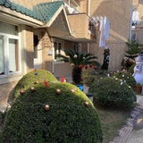 大大大卷
