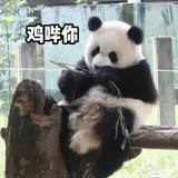 看热闹的～
