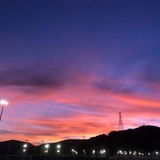 仙成