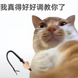 抽得你喵喵叫