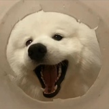 起床困难户