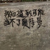 🍓卷卷肉