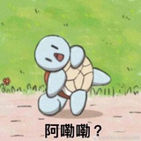 薛定谔的喵