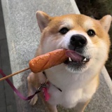 炒鸡无敌棒呆的