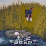 多说两句