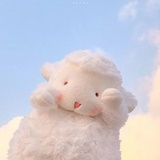 娃娃鱼