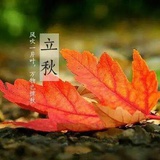 柠萌お