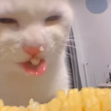 比巴卜棒棒糖🍭