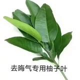 平平安安