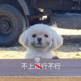 张曦曦很可