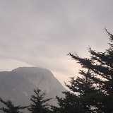你猜呢