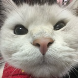 老铁这对吗
