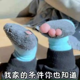 土豆🥔是圆的