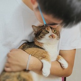 花火はなぴ