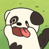 小黑
