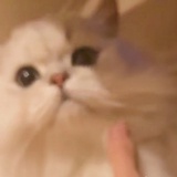 与你无关