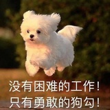 bil*6（已黑化