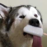 好好