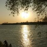sunshine