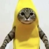 十二進法的夕景