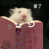 Hamster