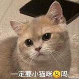 AKA倒模翻车人