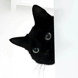 625