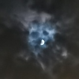 佛系青年