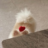 喂味章鱼