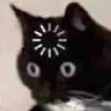 头快炸了