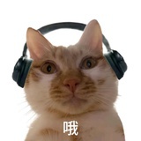 绝命丁香狗