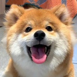 月光凉拌软糖