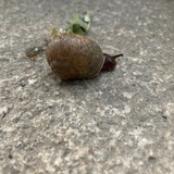 烟消云散