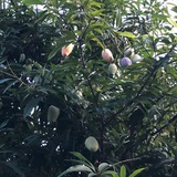 豆友AyDvbhIf4M
