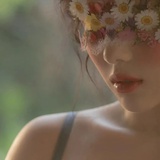 阿拉善神树