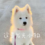 要你管