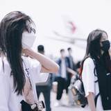 1133函数