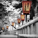 目送