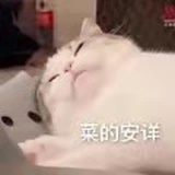 吃了睡睡了吃