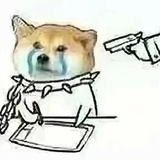 哇咔咔