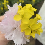 搞一朵浪花🌊