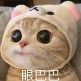 起个名字想半天