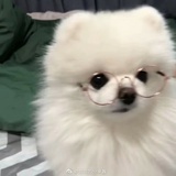 坠于海